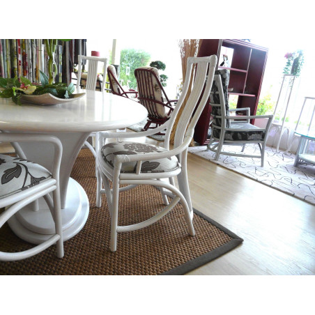 Chaise Lussac Blanc Essuyé