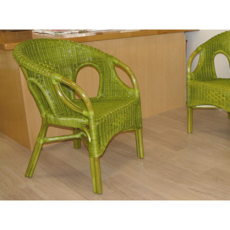 Fauteuil Leza