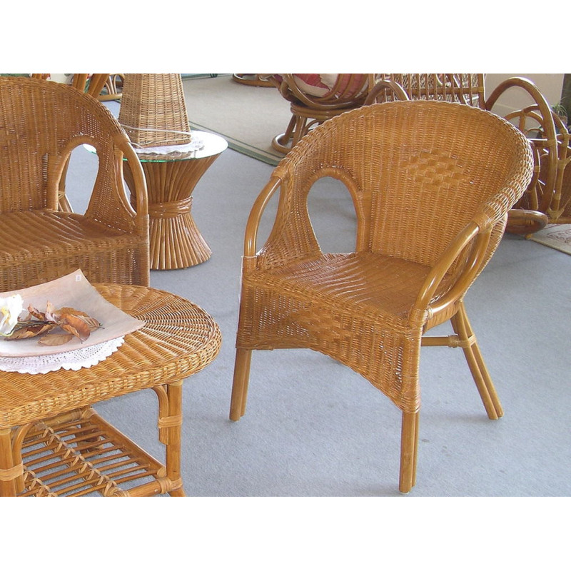 Fauteuil Leza