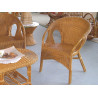 Fauteuil Leza
